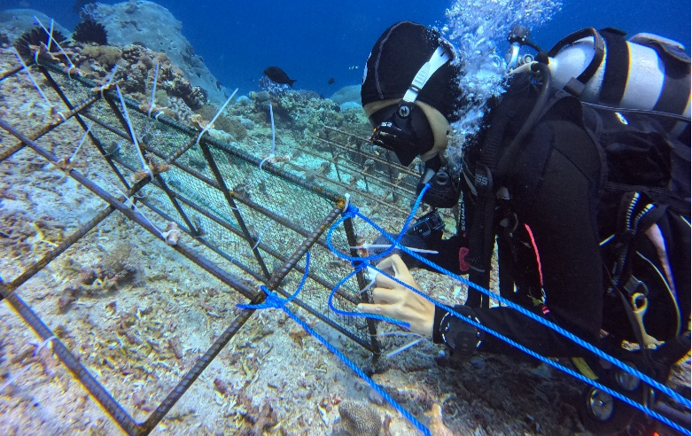 Reviving Nusa Penida’s Reefs: How Coral Restoration is Making a Difference
