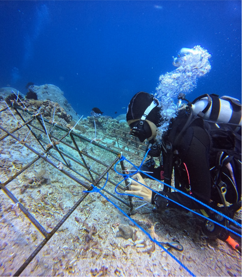 Reviving Nusa Penida’s Reefs: How Coral Restoration is Making a Difference