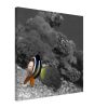 ab8aac5e-7d8c-41e5-9f6a-dff0c7a3c937