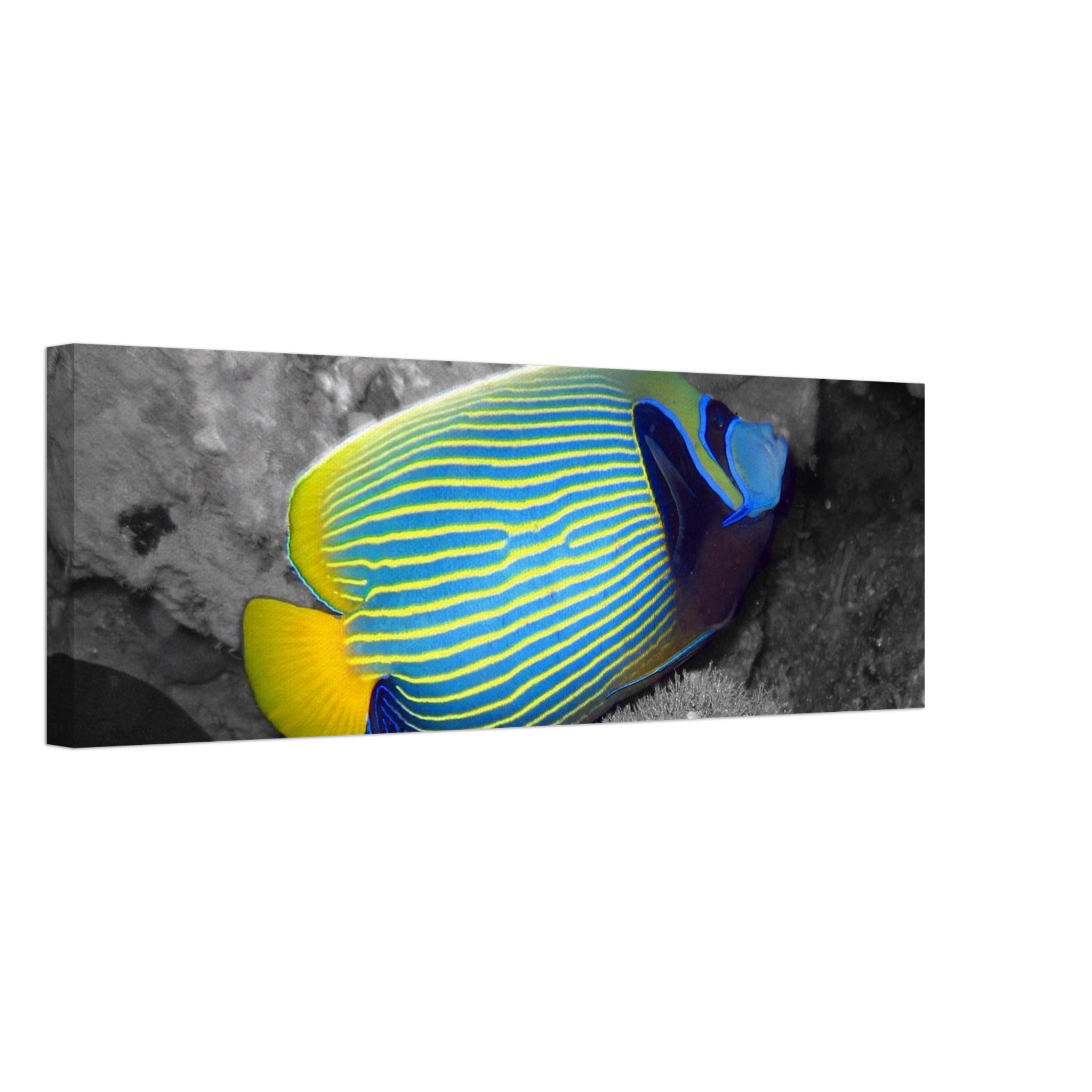 bc0ac8fa-e03e-4043-9e57-f8ad73796049