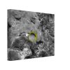 f76adbed-619e-4cd9-8b35-6486568b7457